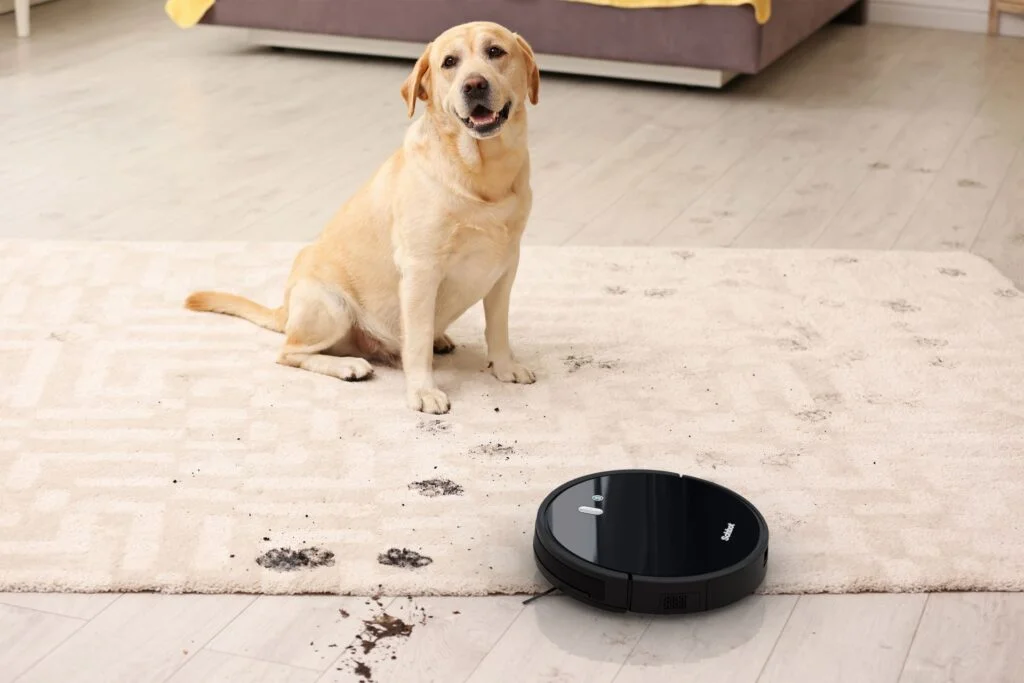 Robot Vacuum for Pet Hair